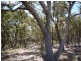 Lot 3 Mt Barker Porongurup Road, Porongurup WA 6324