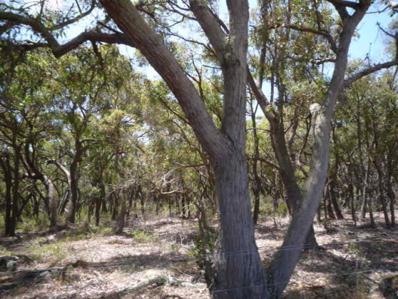 Lot 3 Mt Barker Porongurup Road, Porongurup WA 6324