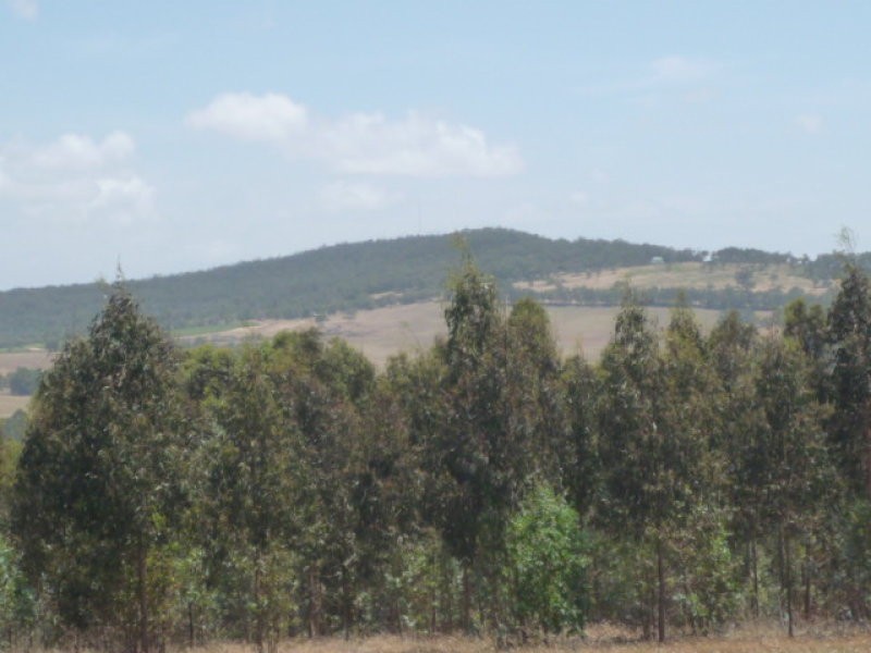 Lot 3 Mt Barker Porongurup Road, Porongurup WA 6324