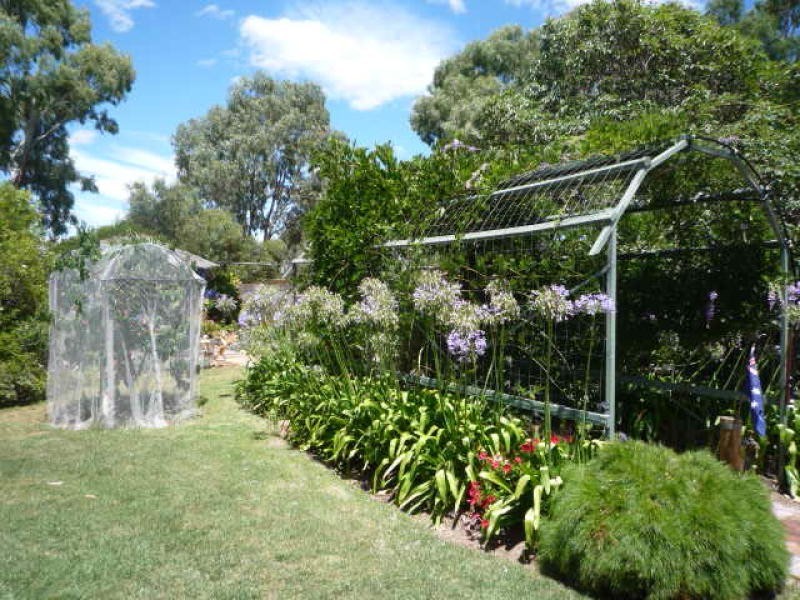 Lot 106 King Street, Cranbrook WA 6321