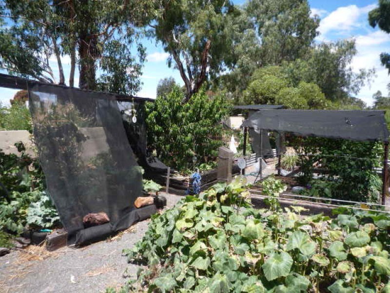 Lot 106 King Street, Cranbrook WA 6321