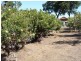 Lot 703 Bloomfield Rise, Mount Barker WA 6324
