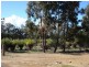 Lot 703 Bloomfield Rise, Mount Barker WA 6324