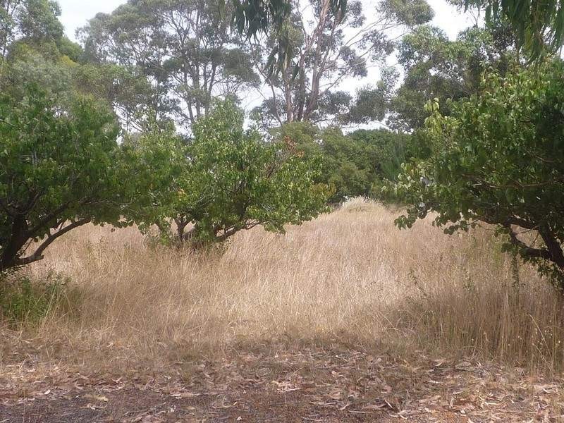 60 Mondurup Street, Mount Barker WA 6324