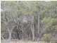 Lot 52 Surrey Downs Road, Porongurup WA 6324