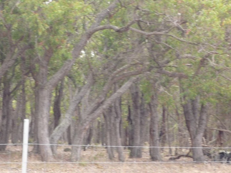 Lot 52 Surrey Downs Road, Porongurup WA 6324