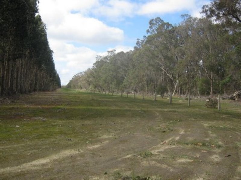 Lot 783 Pile Road, Mount Barker WA 6324