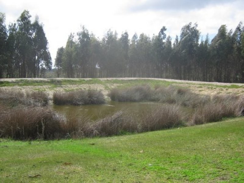 Lot 783 Pile Road, Mount Barker WA 6324