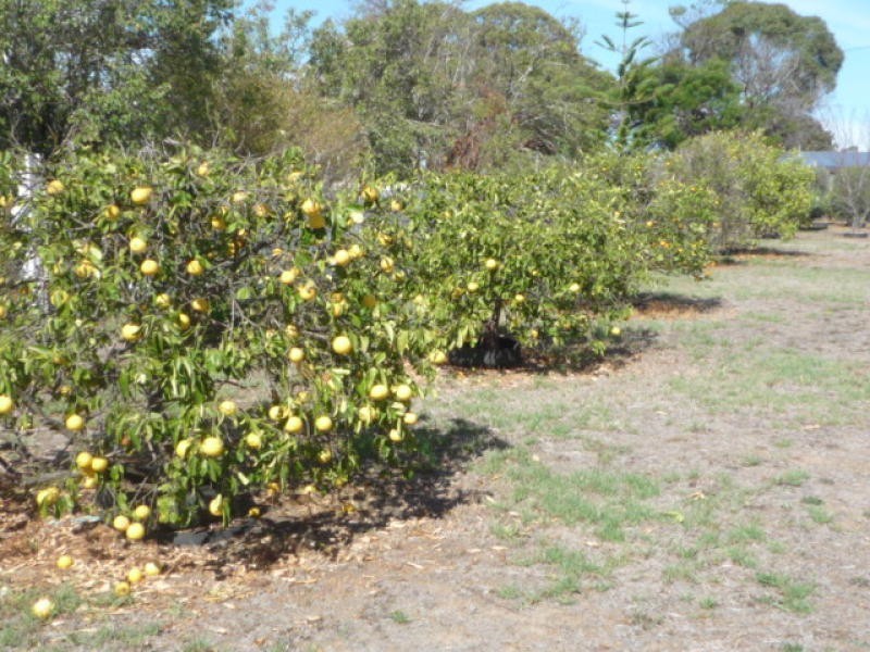 Lot 116 Pennifold Street, Kendenup WA 6323