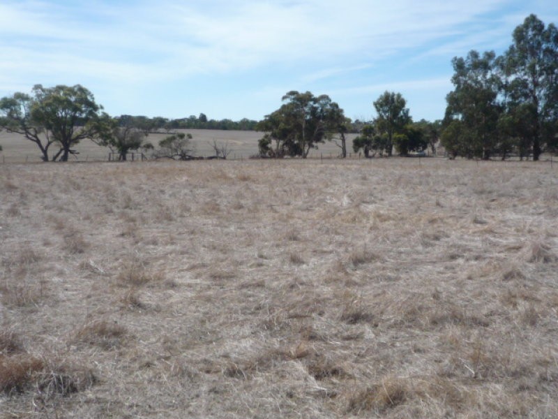 Lot 116 Pennifold Street, Kendenup WA 6323