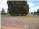 Lot 543 Fourth Ave, Kendenup WA 6323