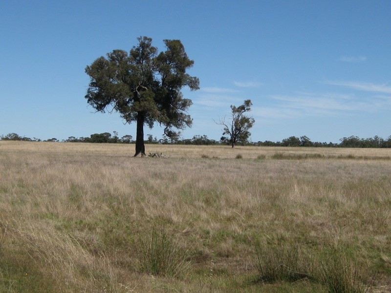 256 Bunker Road, Kendenup WA 6323