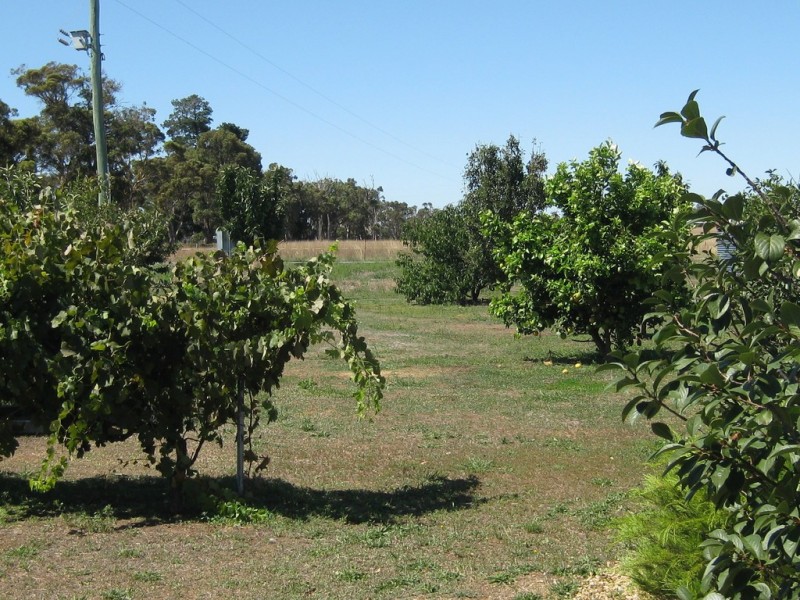 256 Bunker Road, Kendenup WA 6323