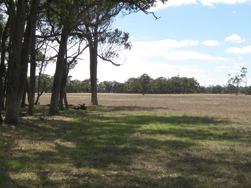 84 Maclean Close, Mount Barker WA 6324