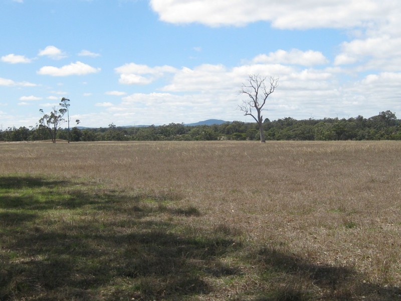 84 Maclean Close, Mount Barker WA 6324