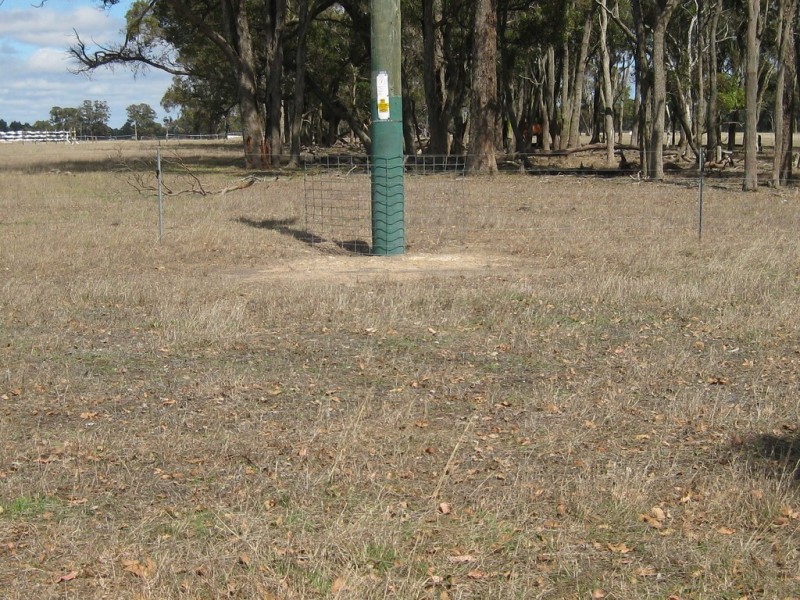 84 Maclean Close, Mount Barker WA 6324