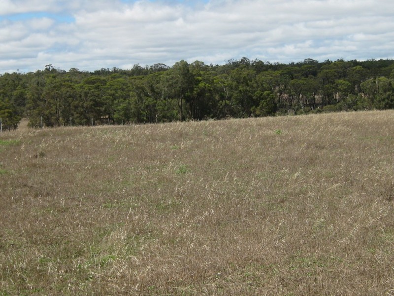 84 Maclean Close, Mount Barker WA 6324