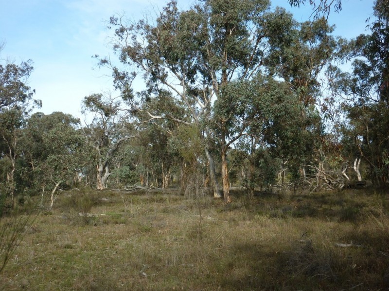 Lot 150 Brooklyn Road, Cranbrook WA 6321