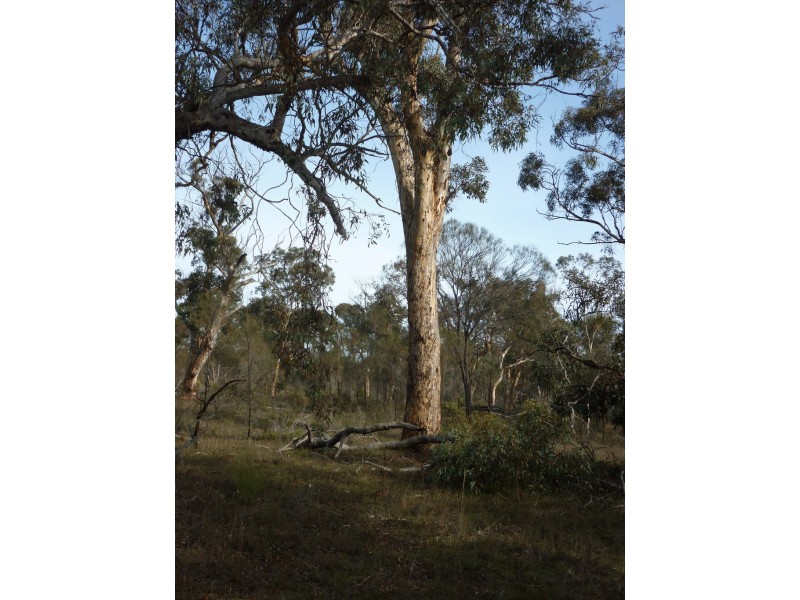 Lot 150 Brooklyn Road, Cranbrook WA 6321