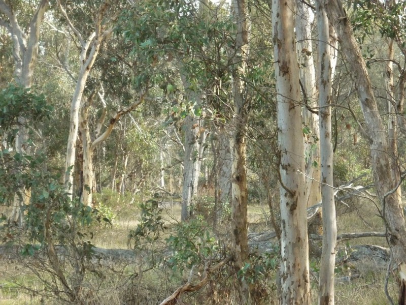 Lot 150 Brooklyn Road, Cranbrook WA 6321