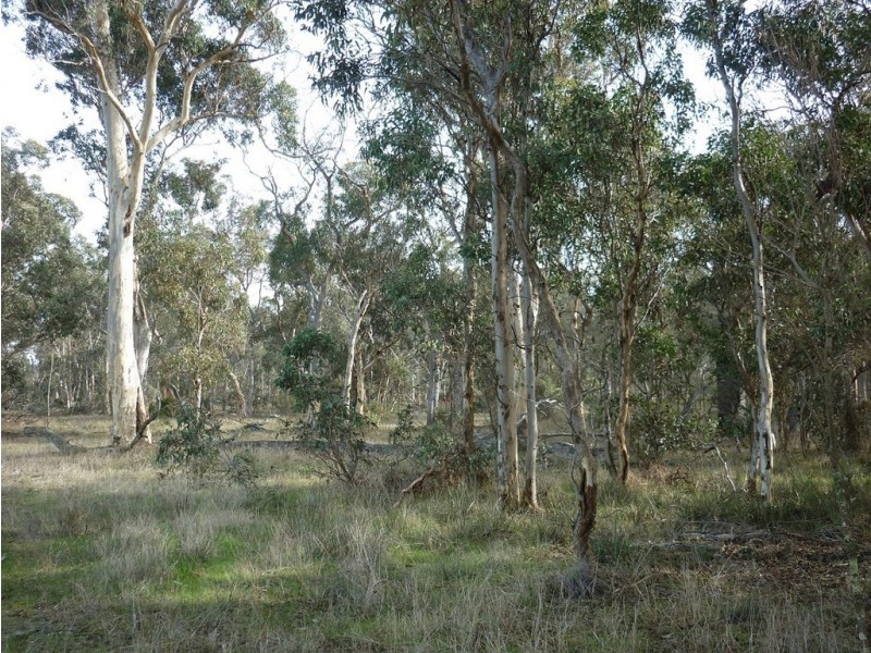 Lot 150 Brooklyn Road, Cranbrook WA 6321