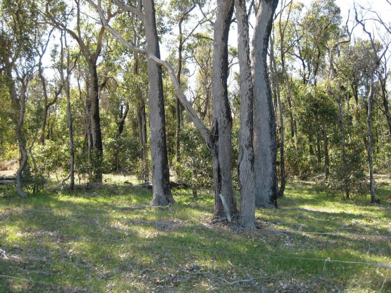 Lot 151 Pickles Road, Narrikup WA 6326