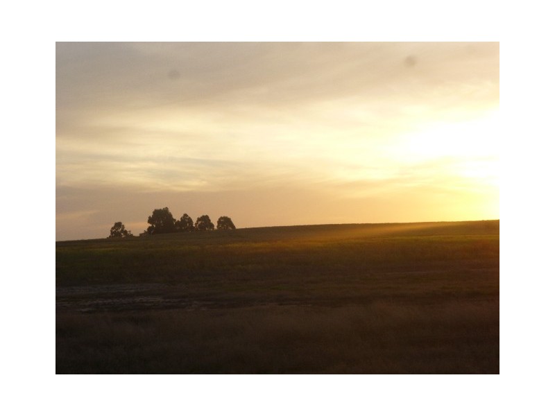 340 View Range Road, Kendenup WA 6323