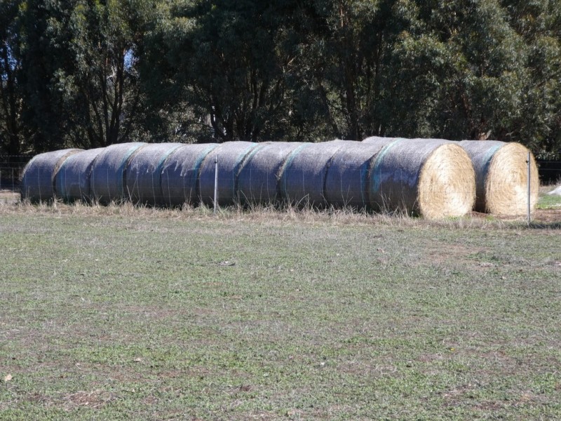 Lot 701 Gough Road, Kendenup WA 6323