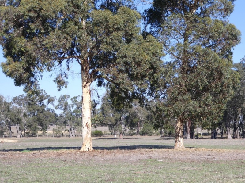 Lot 701 Gough Road, Kendenup WA 6323