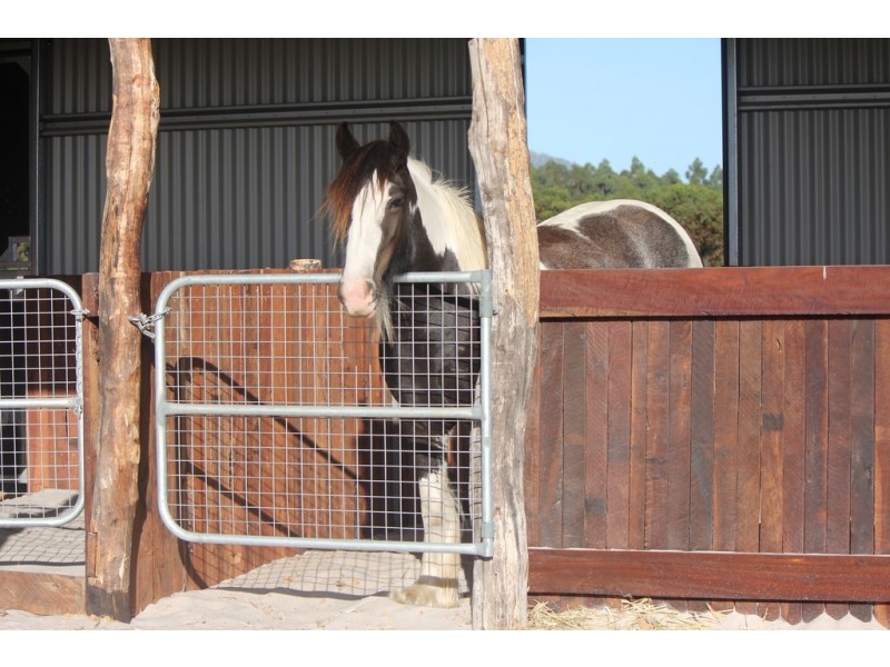 1170 Millinup Road, Porongurup WA 6324