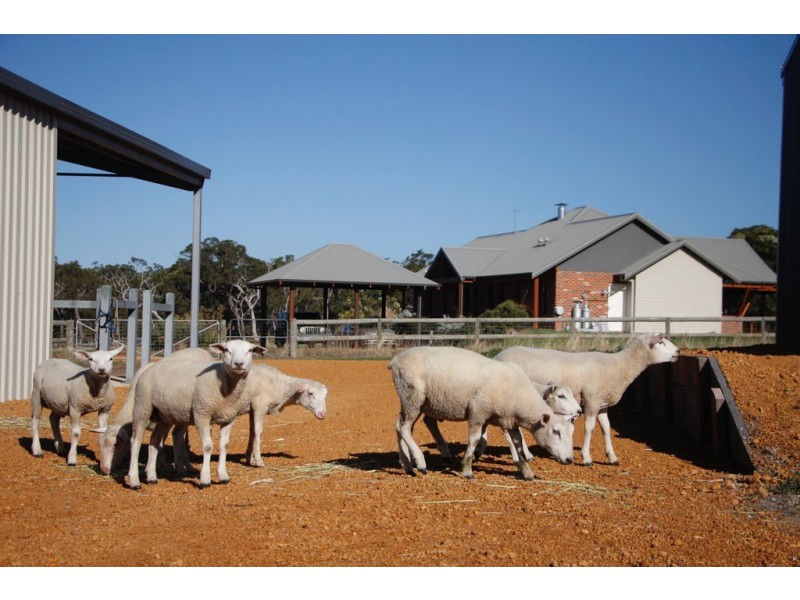 1170 Millinup Road, Porongurup WA 6324