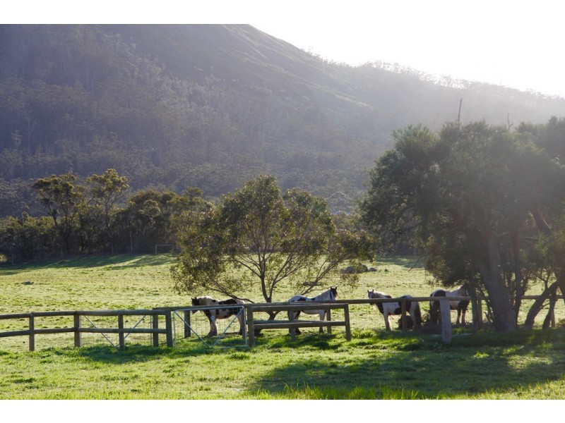 1170 Millinup Road, Porongurup WA 6324