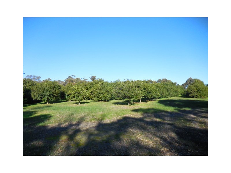 131 Robertson Road, Kendenup WA 6323