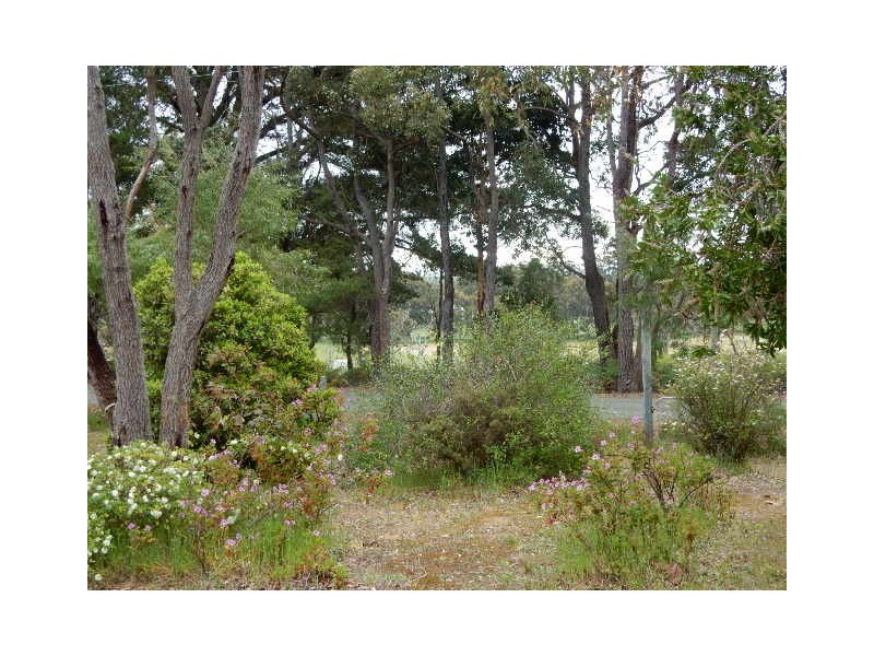 17 Bolganup Road, Porongurup WA 6324