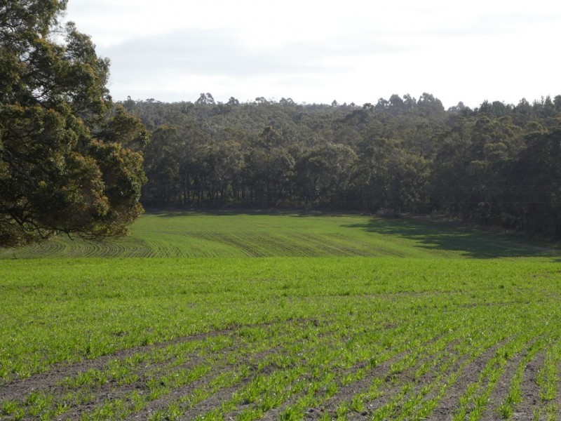 Lot B Mount Barker Hill Road, Mount Barker WA 6324