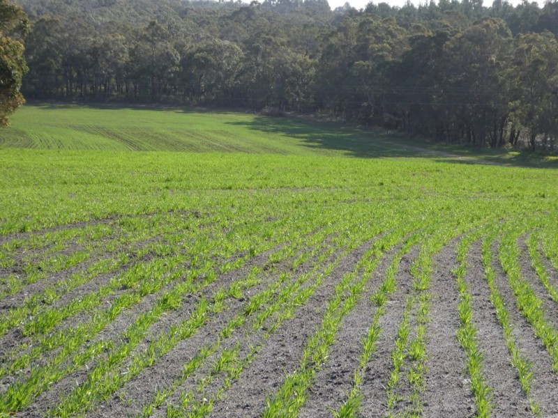 Lot B Mount Barker Hill Road, Mount Barker WA 6324