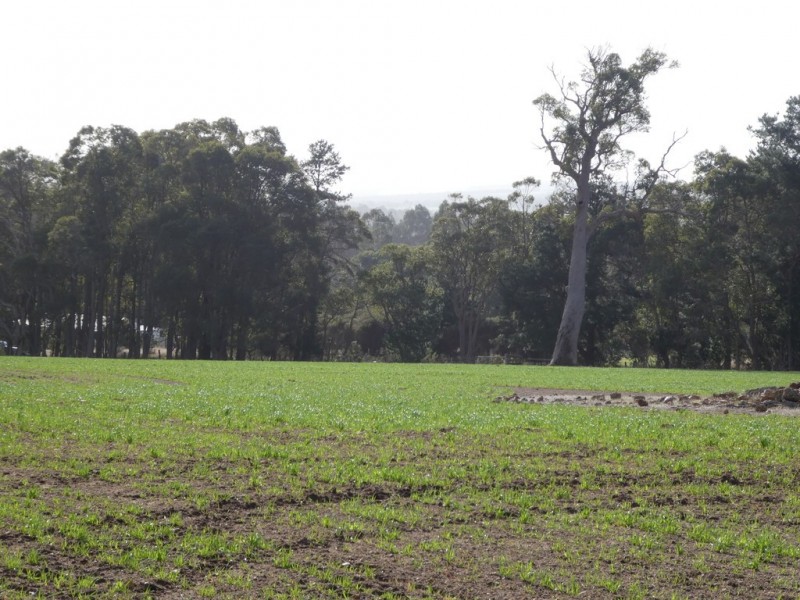 Lot B Mount Barker Hill Road, Mount Barker WA 6324