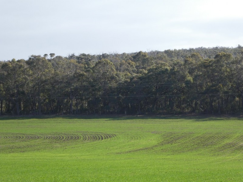 Lot B Mount Barker Hill Road, Mount Barker WA 6324