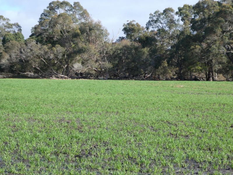 Lot B Mount Barker Hill Road, Mount Barker WA 6324