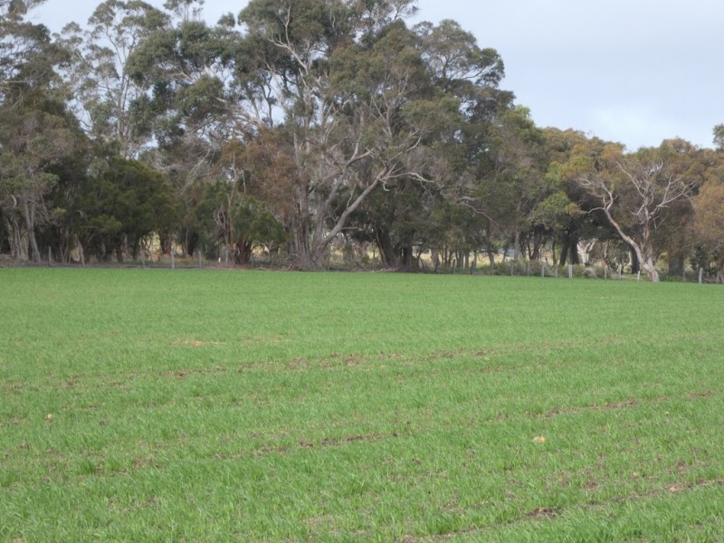 Lot C Mount Barker Hill Road, Mount Barker WA 6324