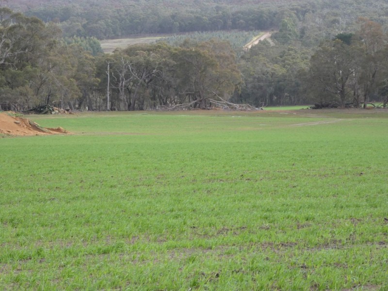 Lot C Mount Barker Hill Road, Mount Barker WA 6324