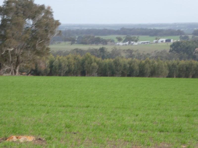 Lot C Mount Barker Hill Road, Mount Barker WA 6324