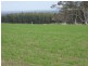 Lot C Mount Barker Hill Road, Mount Barker WA 6324
