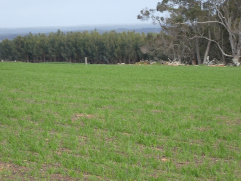 Lot C Mount Barker Hill Road, Mount Barker WA 6324