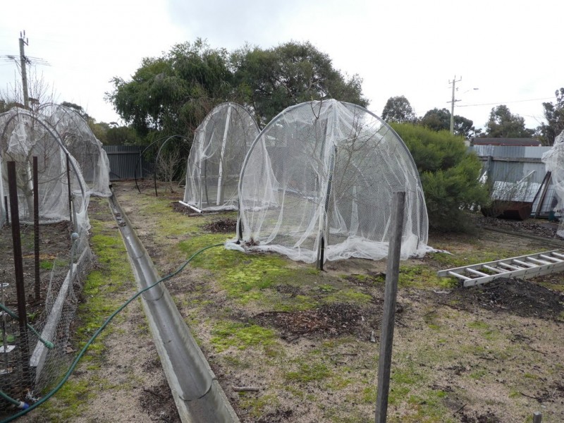 23 Gathorne Street, Cranbrook WA 6321