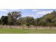Lot 100 Ingoldby Street, Mount Barker WA 6324