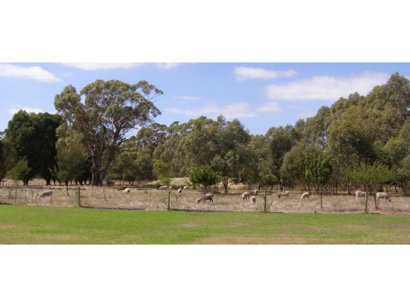 Lot 100 Ingoldby Street, Mount Barker WA 6324