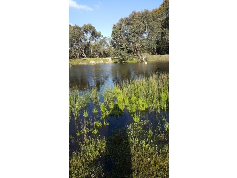 Lot 100 Ingoldby Street, Mount Barker WA 6324