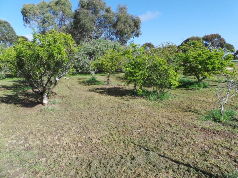 165 Smuts Road, Kendenup WA 6323