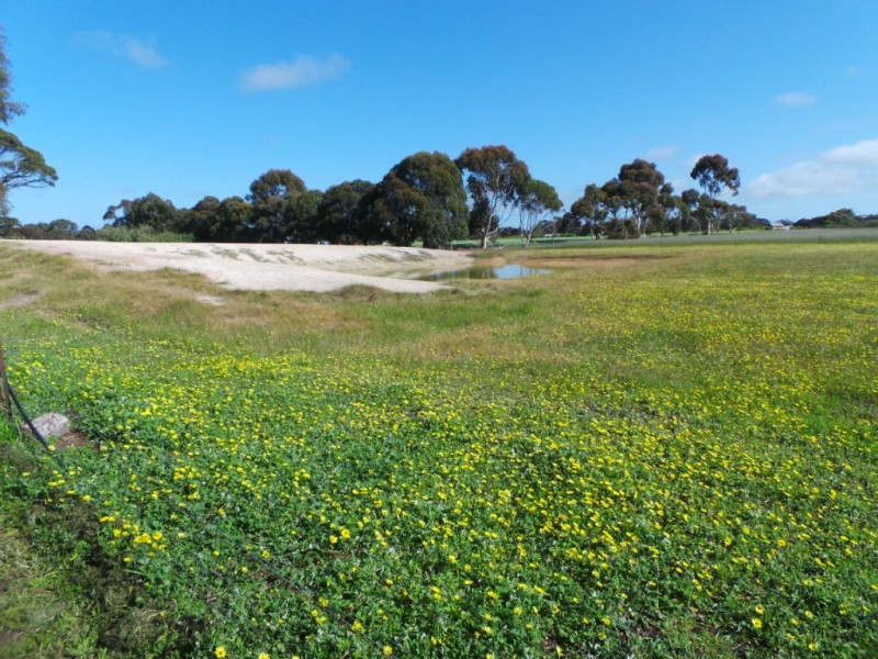 165 Smuts Road, Kendenup WA 6323